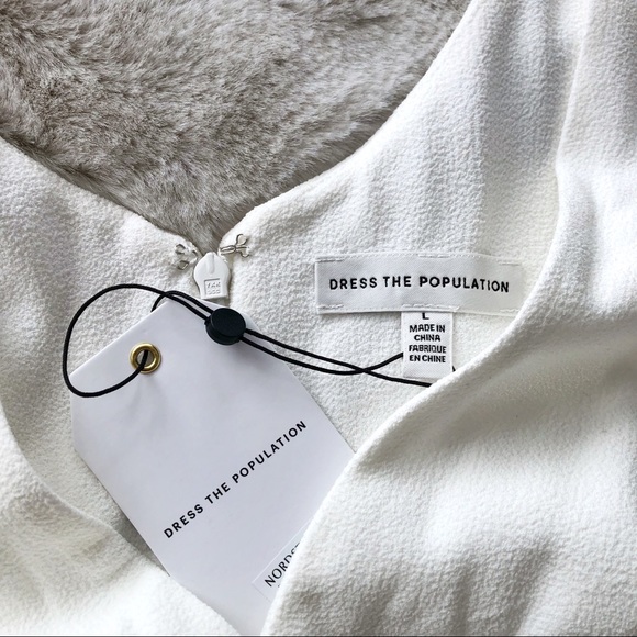 DRESS THE POPULATION Plunging V-Neck Sandra Floor Length Dress - Picture 11 of 16